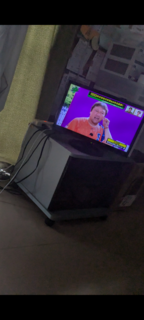 1000003347.png