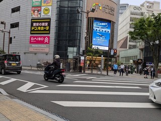 20250425_185535.jpg