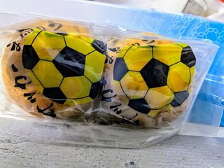 20250510_195133.jpg