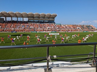 PXL_20231028_050235521.MP.jpg