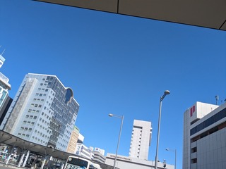 PXL_20240228_034150426.jpg