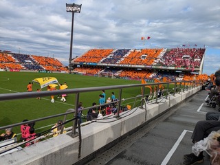 PXL_20241103_045742829.jpg