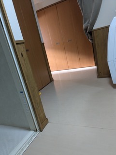 PXL_20241210_002223766.jpg