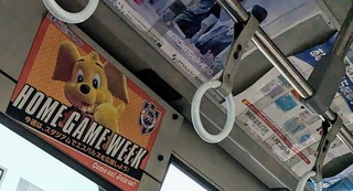 PXL_20241220_040227765~4.jpg